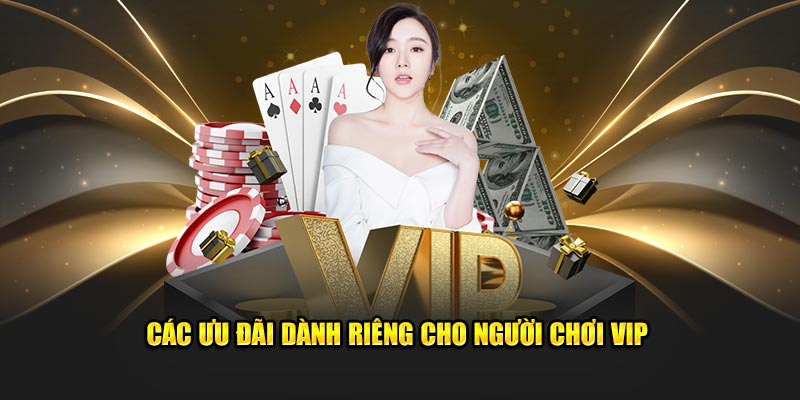 Các ưu đãi dành cho VIP