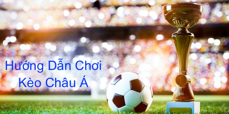 Các thông tin liên quan phải tìm hiểu để chơi cá độ chắc thắng